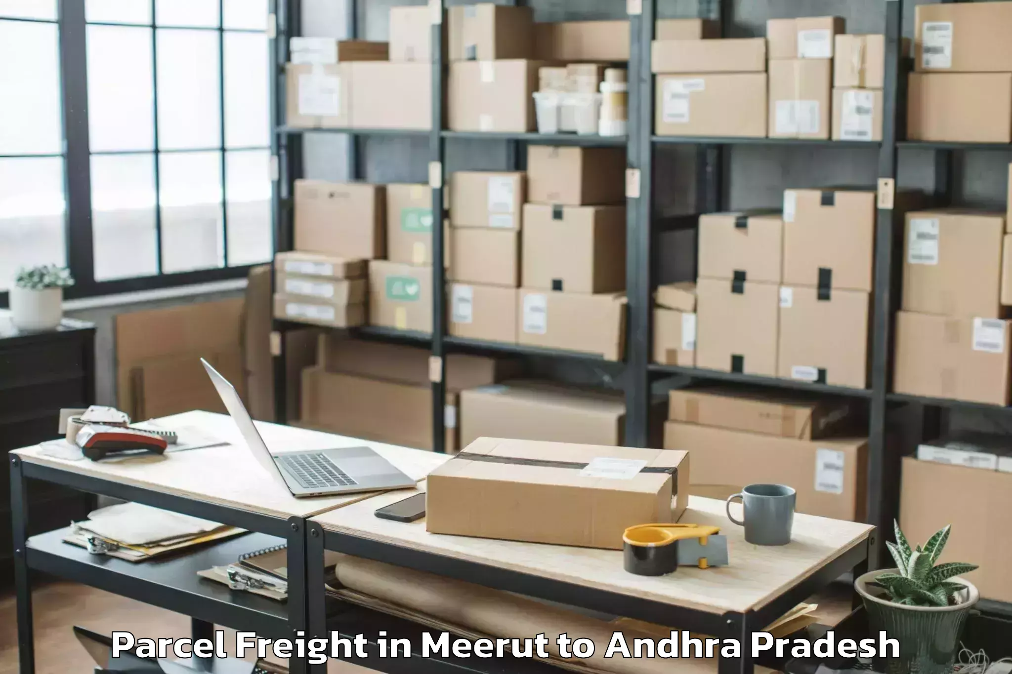 Efficient Meerut to Central University Of Andhra P Parcel Freight